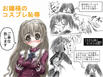 お嬢様のコスプレ恥辱 [橘屋]