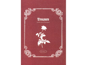 Tresure(特別版) [平成出戻り娘(仮)]