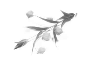 After RainII [Black Moon/ツキノウラガワ]