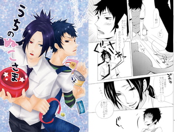 うちのぬこさま [まじっくちゃんねる]