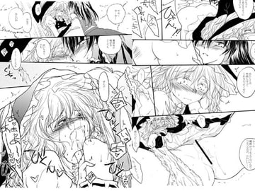 れーむとまりさがちゅーするどころか○○○○しちゃうほん [有限産業すきま風]