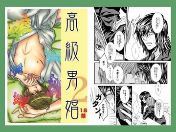 高級男娼2 [和風華堂]