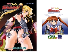 魔法執務官マゾレズフェ○ト催○調教 [ぐどんの歌]