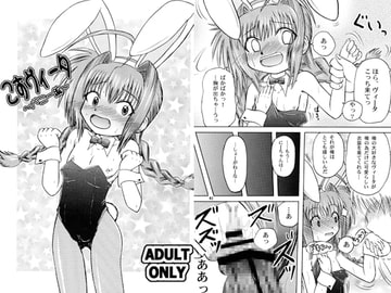 こすヴィータ～バニー編～ [あかち]