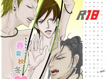 もうひとつの春夏秋冬 [rabimo]