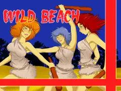 Wild beach