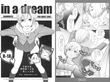 in a dream [沙門亭]