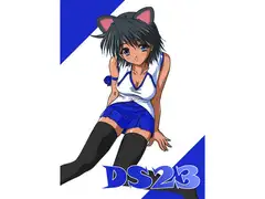 DS23