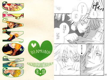 DIAMOND [メトロキッチン]