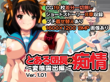 とある団長の痴情 ～変態露出編～ ver.1.01 [mokeke]