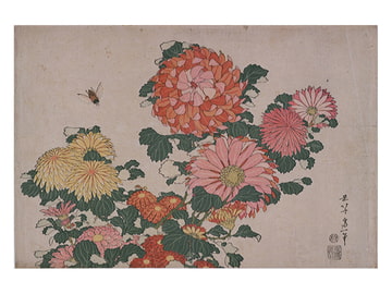 Free Sound Collection - Best Vol.5 [pierrotlunaire]