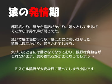 猿の発情期 [H.G.S.K]