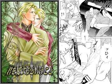 Dolce Vita　君を愛するということ・上 [紅井事務所/紅井採乃]