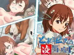 とあるビリビリの凌○劇