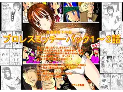 馬渕美智子外伝 プロレスミッチーパック1～3