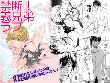 禁断!義兄弟ラブ [ABEGG]