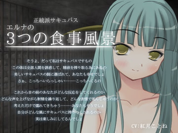 正統派サキュバス エルナの3つの食事風景 [ほんにゃらインダストリー]