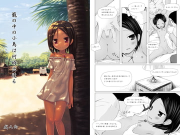 籠の中の小鳥は何時出遣る [ノラネコノタマ]