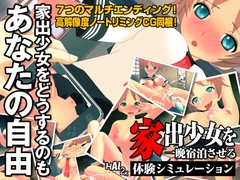 妄想体験アドベンチャーゲーム 『家出少女を一晩宿泊させる体験シミュレーション』 [ハルニセン]