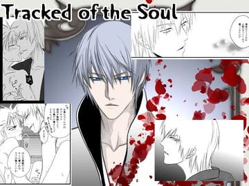 Tracked of the Soul -魂の軌跡- [TOMMYと待宵]