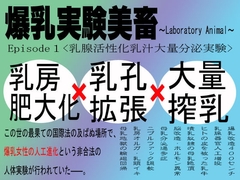 爆乳実験美畜Episode1～乳腺活性化乳汁大量分泌実験～ [英雄書房−ノエル・ノベルス−]