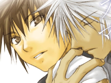 Diorama [Tangerine Crate]