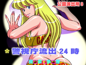 公園派出所3 警視庁流出24時 [我楽多屋]