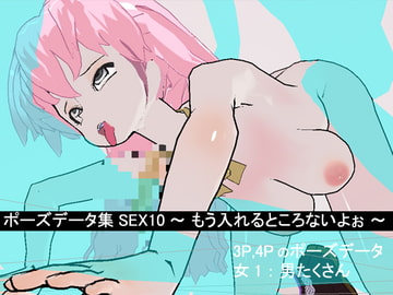 ポーズデーター集 SEX10 ～ もう入れるところないよぉ ～ [3Dポーズ集]