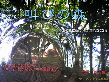 叫びの森 [飛ぶ黒猫]