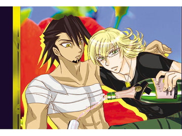 The sun also rises. [レアメタル]