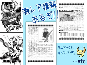 DRAGON Vol.13 & Vol.14 [大空魔竜を支持する会]
