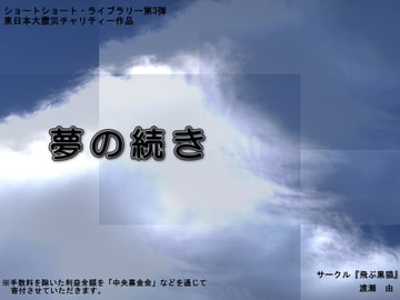 夢の続き [飛ぶ黒猫]