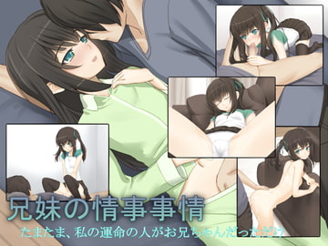 兄妹の情事事情 [遊猿堂]