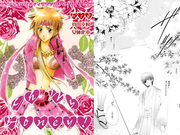 Oh my honey! [情熱音楽座]