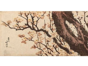 Free Sound Collection - BGM 30 tracks for GAME and WEBSITE vol.23 [pierrotlunaire]