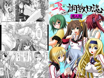 一夏の調教日誌 [浅野屋]