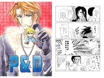 P&D [P&P]