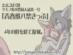 青春獣八禁きっぷ