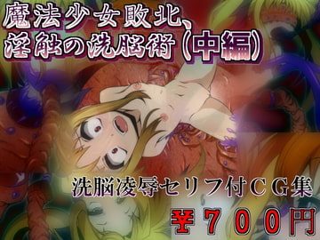 魔法少女敗北、淫触の洗脳術(中編) [しゃぼたん屋]