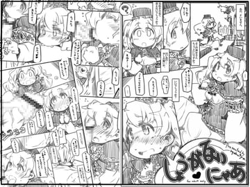 しょうがないにゃあ [幸福資源]