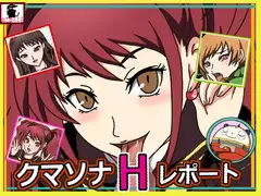 クマソナHレポート