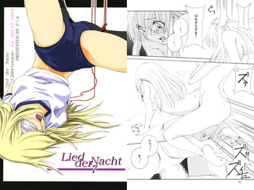 Lied der Nacht 7 [F・A]