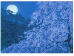 著作権フリー効果音・BGM集 vol.25 射精音・ピストン・手コキ・ぶっかけ効果音108個+BGM10曲パック [月に憑かれたピエロ]