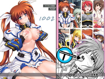 1002 サイクロンの総集編2 [サイクロン]