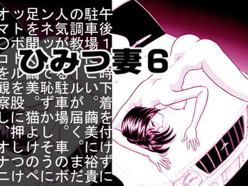 ひみつ妻6 [丸美企画]