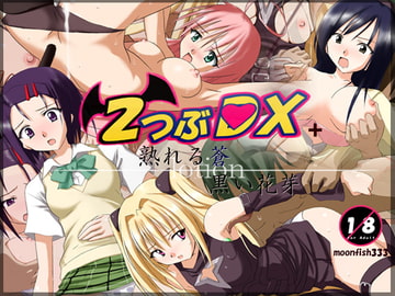 TROUBLE-DX Special Edition [Tuki-no-Sakana]