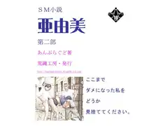 小説『亜由美』第二部