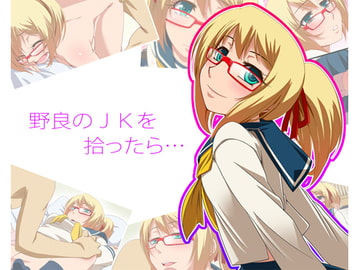 野良のJKを拾ったら… [はやしけ]