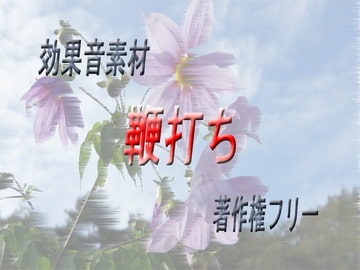 [効果音素材] 鞭打ち [著作権フリーSE] [SE素材屋]