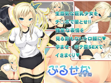 ぶるせな完全版 [ガラスのカボチャ]